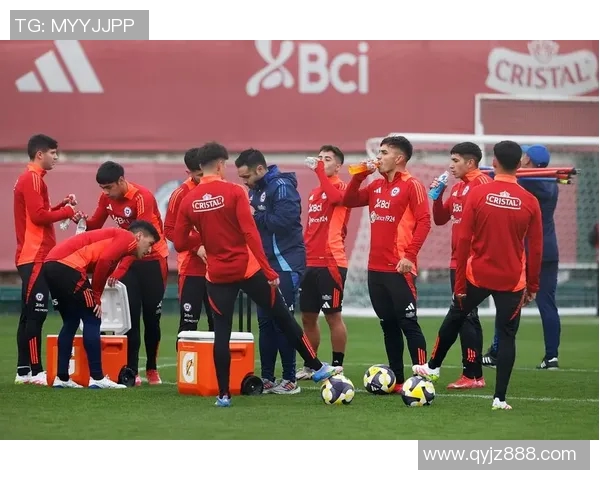 回顾智利1998年世界杯足球明星阵容及其辉煌成就